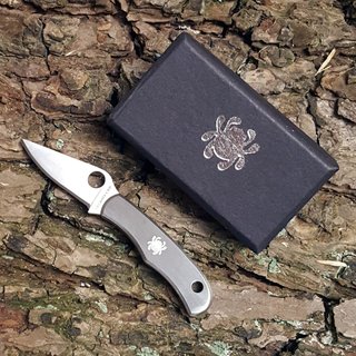 Spyderco Bug Knife Plain Taschenmesser